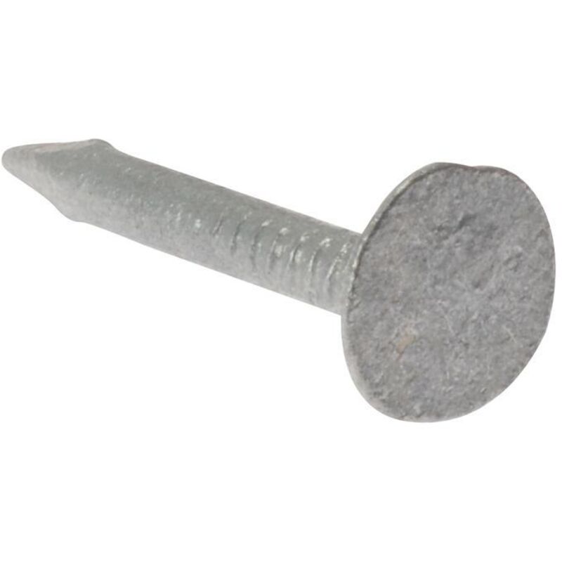 500NLELH30GB Clout Nail Extra Large Head Galvanised 30mm (500g Bag) FORELH30GB50 - Forgefix
